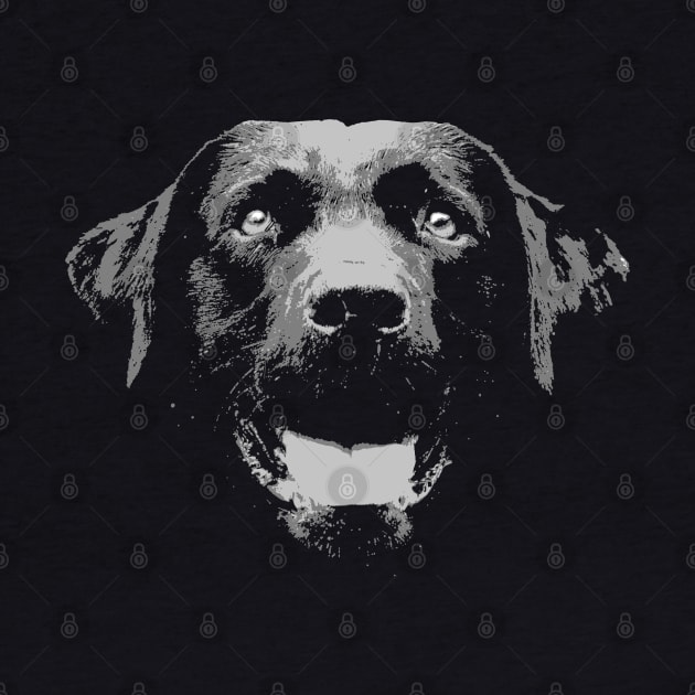 Black Labrador by childofthecorn